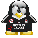 Penguin pingouin pinguino 861
